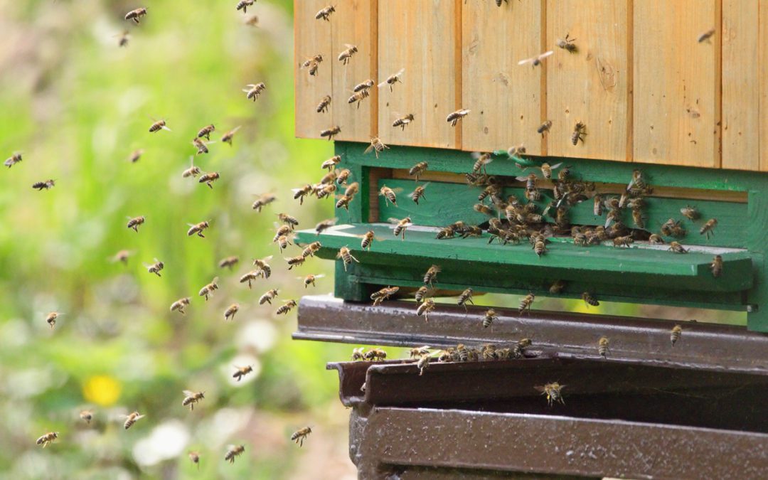 california.theequalitydirectory.com