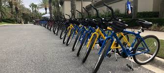 california.theequalitydirectory.com