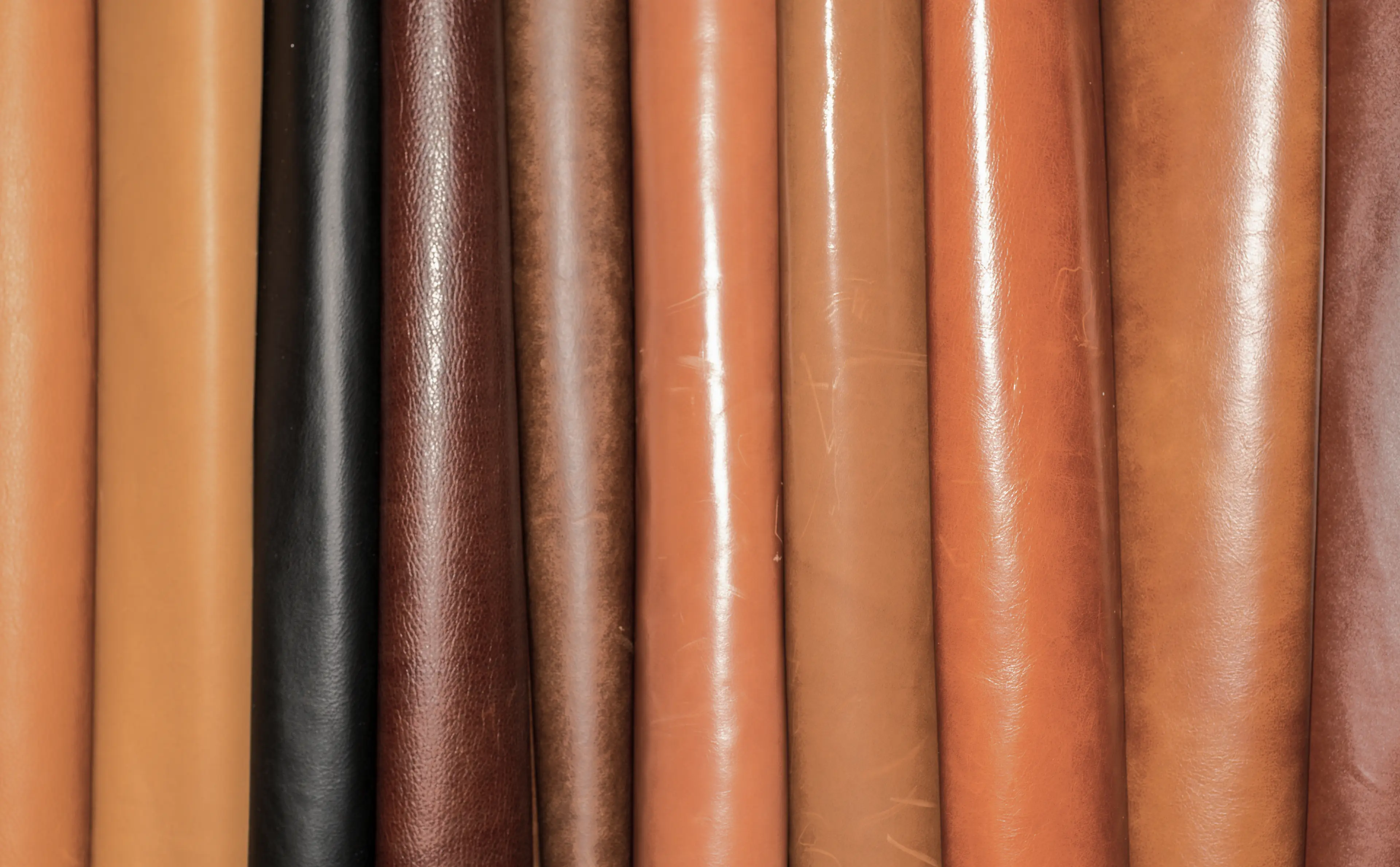 california.theequalitydirectory.com