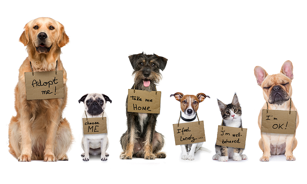 california.theequalitydirectory.com